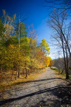Park path Foto stock