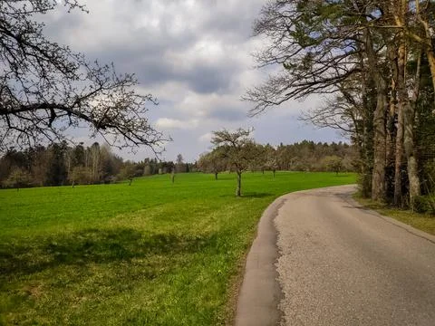 Park Path Road Scene 库存照片
