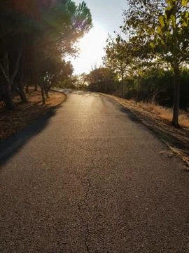 Park path with sun beam Stock Photos