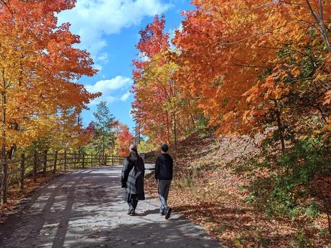 Park path on a sunny fall day with maple trees turning to red and gold Stock Photos