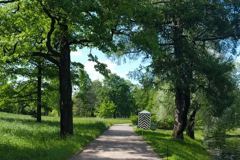 Park path tree forest landscape summer quiet park path through green forest.. Stock Photos