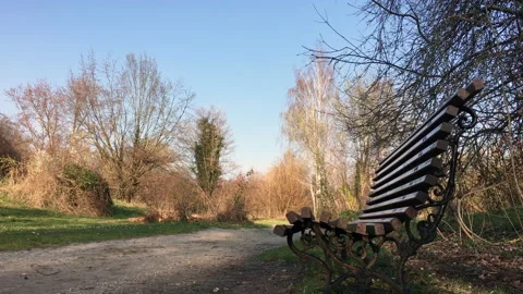 Park Path Tree wooden bench Stock Footage 172062247