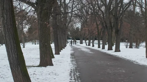 Park path with trees and snow at winter Stock Footage 147925699