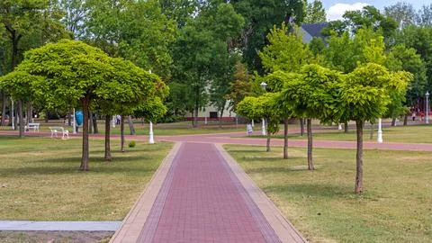 Park Path Way Palic Stock Photos