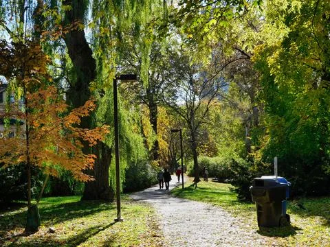 Park path winding through trees changing color in fall Stock Photos