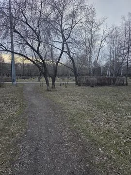 Park Pathway at Dusk Stock-Fotos