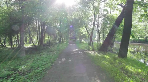 Park pathway Vídeos de archivo 36790821