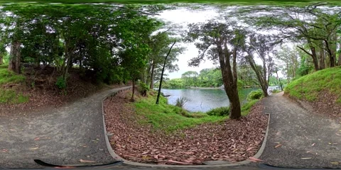 Park Pathway with Pond and Trees - VR360 360 Panoramic, New Zealand Stock Footage 331552413