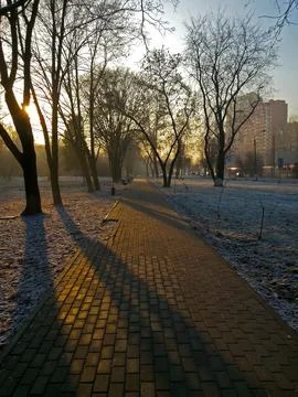 Park pathway at sunset with long shadows. Brick pathway in park with trees .. Stock Photos