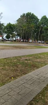 Park pathway with trees and green grass on both sides Stock Photos