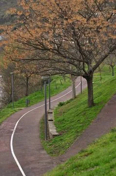 Park with a pedestrian path, cycle path in the middle of trees and vegetation Stock Photos