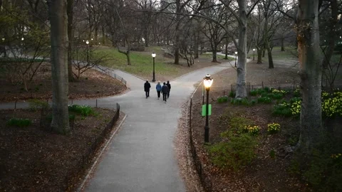 Park Pedestrians Four Paths Stock Footage 151856881