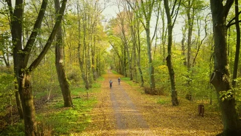 Park, People 스톡 동영상 219829733