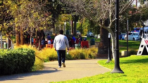 Park people walking  Stock Footage 85453029