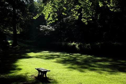 In the park Stock Photos