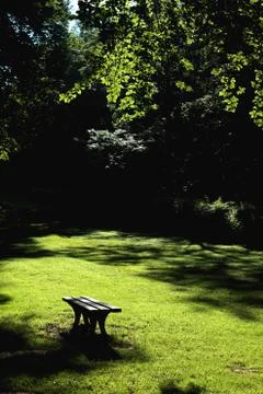 In the park Stock Photos