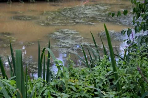 In a park Stock Photos