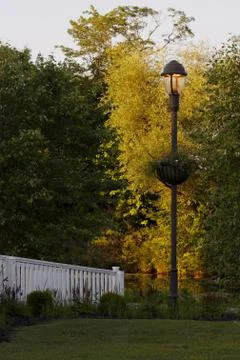 In the park Stock Photos