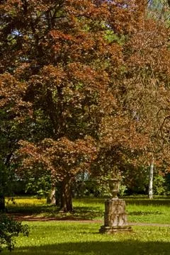 Park Stock Photos