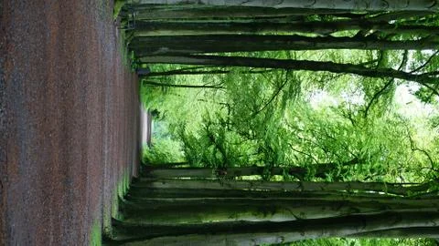 In a park 写真素材