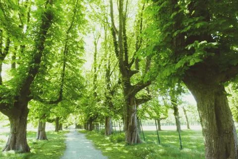 In a park Stock Photos