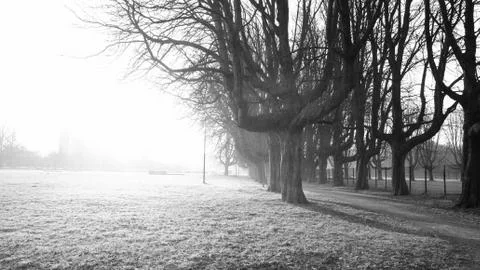 In a park Stock-Fotos