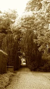 In a park Stock Photos