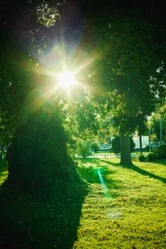 In the Park 스톡 사진