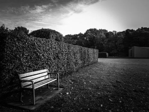 In a park Foto stock