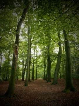 In a park Foto stock