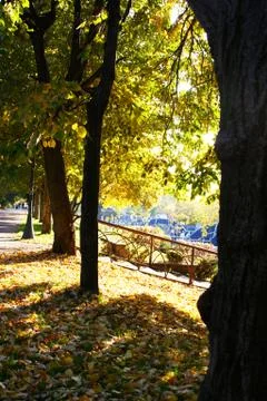 Park Foto stock