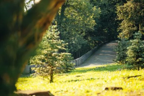 Park Stock Photos