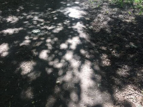 парк 写真素材