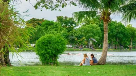 The park 스톡 사진