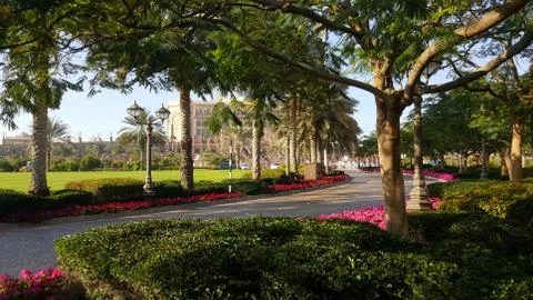 Park Stock Photos