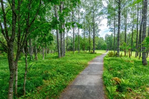 In the park Stock Photos