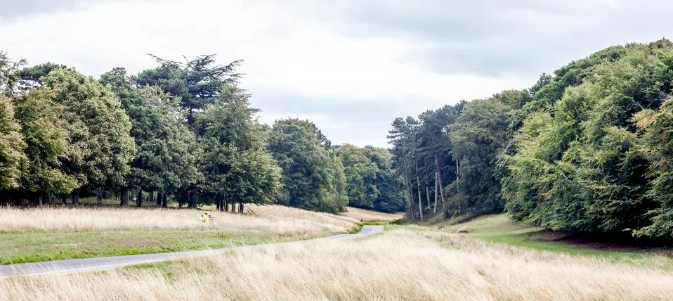 The Park Photos