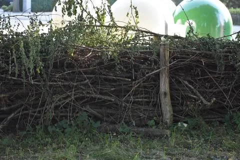 In the park Stock Photos