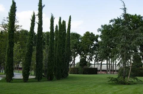 A park Stock Photos