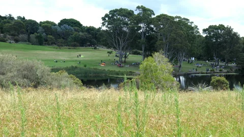 Park Picnic Stockbeeldmateriaal 169133789