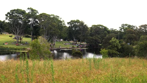 Park Picnic with Pan Stockbeeldmateriaal 169134735
