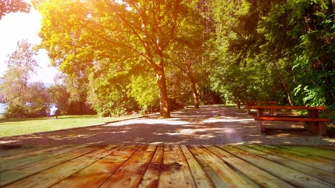 Park Picnic Table Nature Background, Outdoor Table Top Design, Nature Grass Tree Video stock 90101672