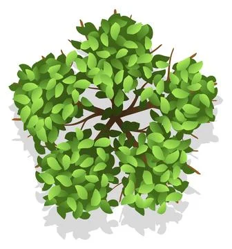 Park plan nature element. Green tree top view Illustrazione stock