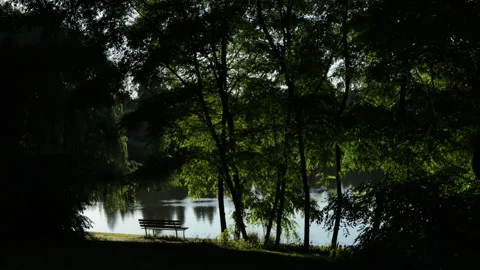 Park pond bench Stock Footage 146820486
