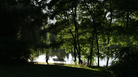 Park pond bench Stock Footage 146820497