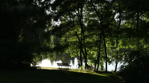Park pond bench Stock Footage 146820572