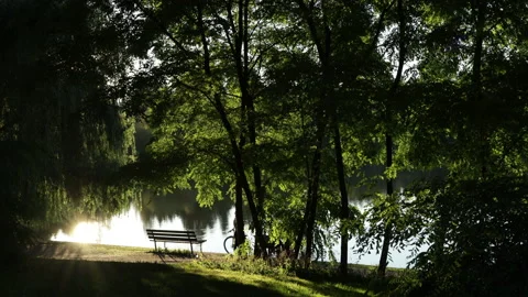 Park pond bench Stock Footage 146820654