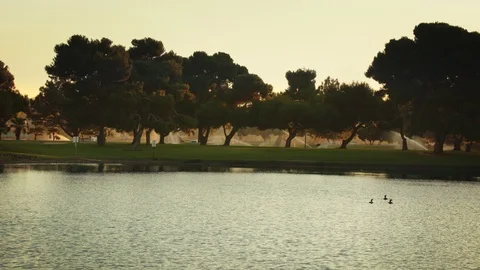 Park pond at dawn Vídeo Stock 121733596