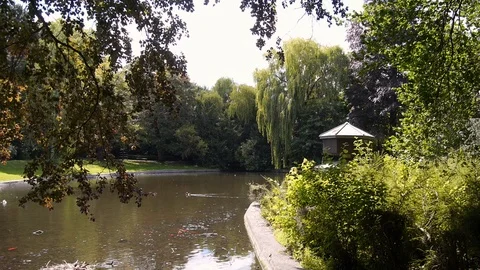 Park with pond Video stock 121574372