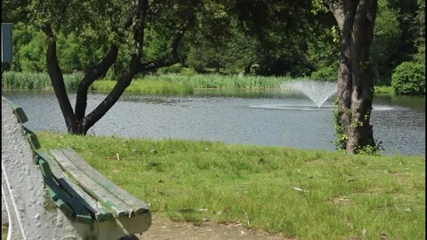 Park pond, park bench, trees, green grass, pond fountain Stock Footage 304367709